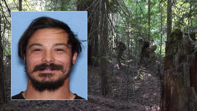 Bones found during FBI's Travis Decker search in WA forest