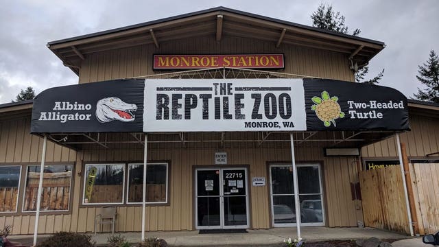 Reptile Zoo to close in Monroe, WA after 30 years