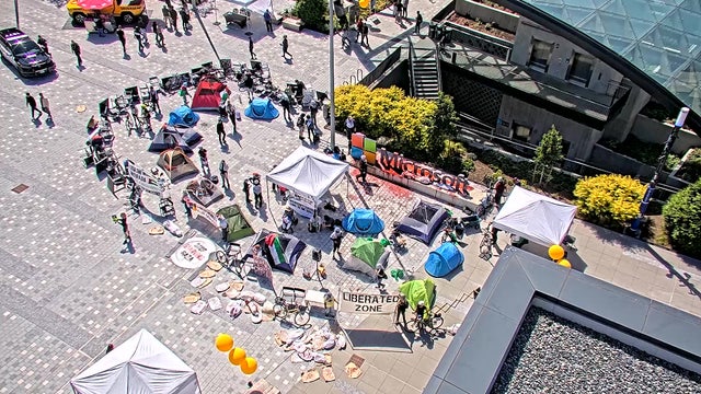 7 protesters arrested at Microsoft president's office at Redmond, WA campus