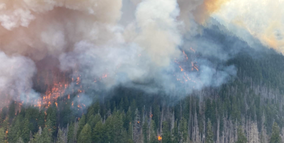 WA Border Patrol agents arrest 2 firefighters battling Bear Gulch Fire