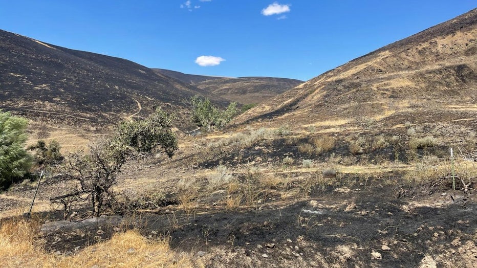 The Central Ferry fire, burning west of Pullman in the Palouse, is burning 6,597 acres and is 40% contained. Officials say the wildfire ignited on Wednesday at around 12:41 a.m. due to a car fire. 127 firefighting personnel are currently working on this fire. There are no road closures, and all evacuation levels have been lifted.