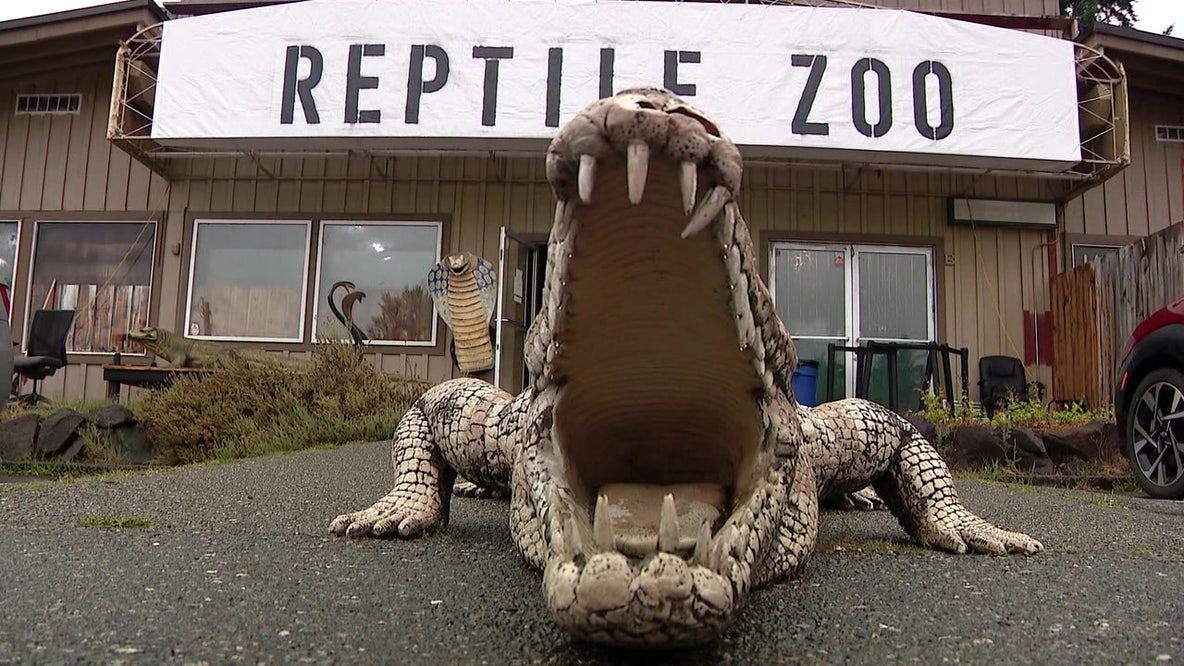 Reptile Zoo says goodbye to Monroe, WA community following attempts to save business