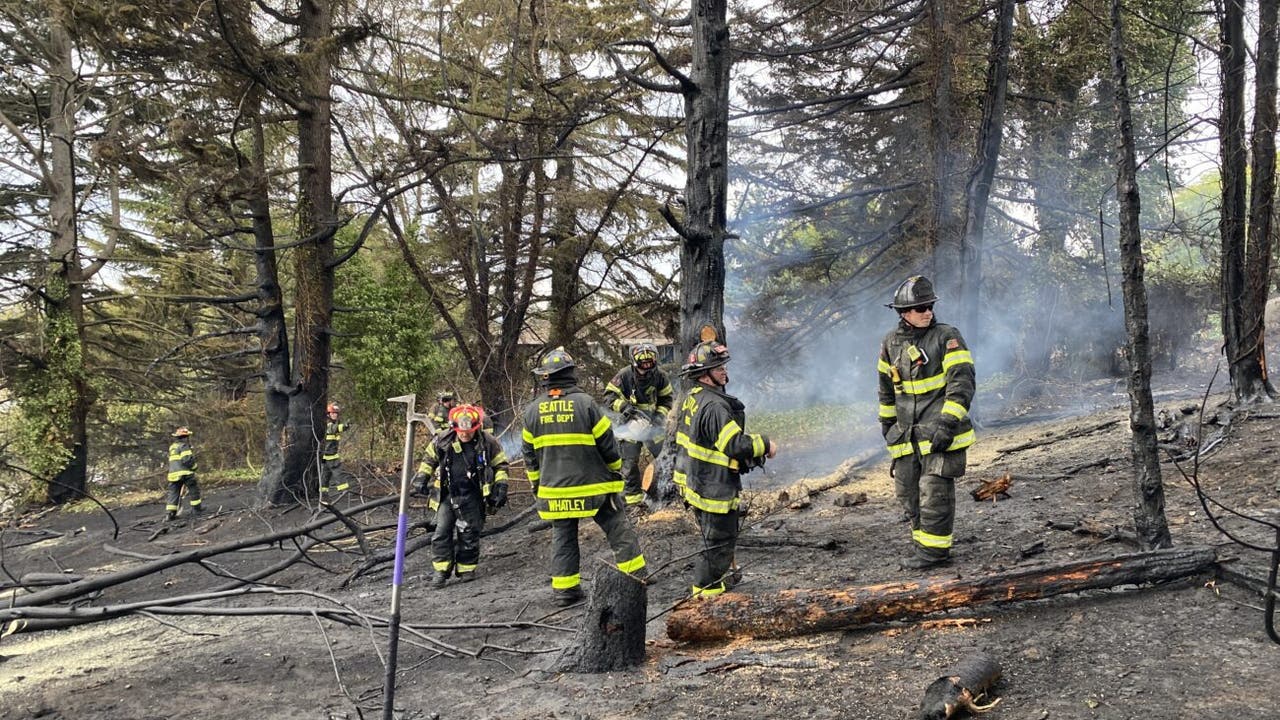 Brush fire near I-5 in Seattle cause | FOX 13 Seattle