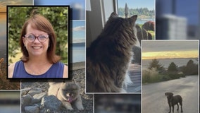 Seattle woman saves $60K after becoming full time house and pet sitter