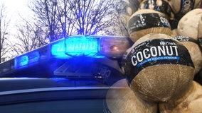 Bomb squad called to disarm explosive coconut at WA park