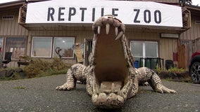 Reptile Zoo in Monroe, WA saved from closure, sets November reopening