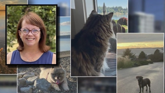 Seattle woman saves $60K after becoming full time house and pet sitter
