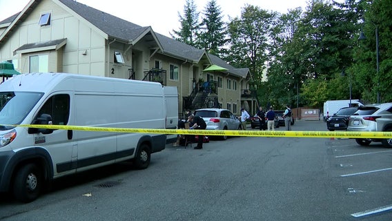 WA woman strikes boyfriend with axe, burns him believing he was 'demon': docs