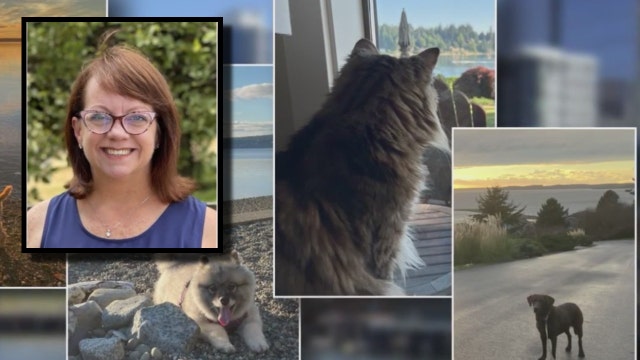 Seattle woman saves $60K after becoming full time house and pet sitter