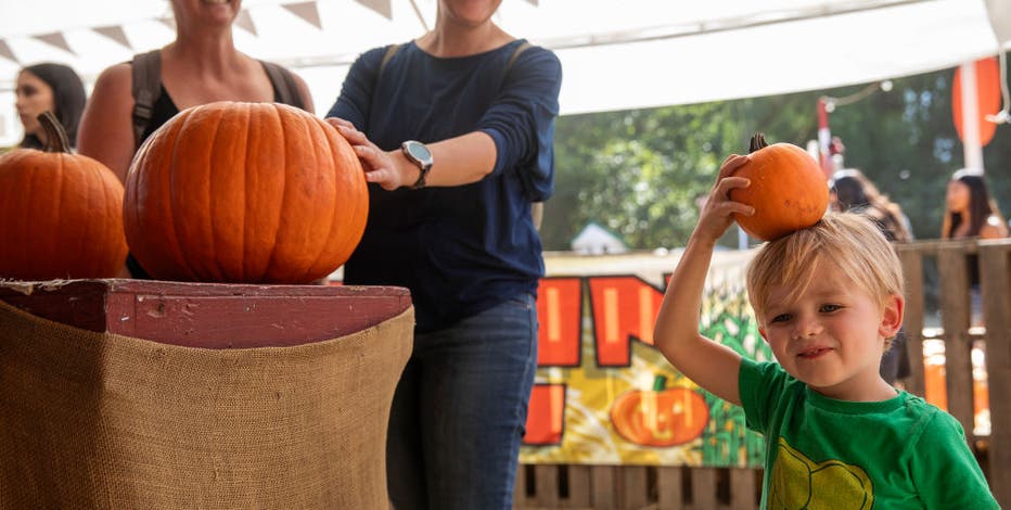 13 of the best pumpkin patches near Seattle to visit this fall