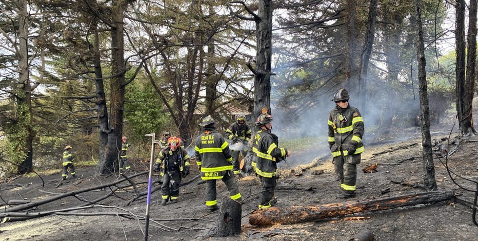 Spark from car or discarded cigarette likely caused brush fire near I-5 in Seattle
