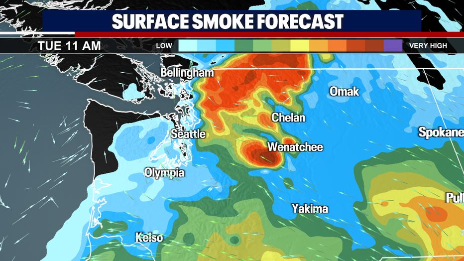 A map showing the surface smoke forecast in Western Washington.