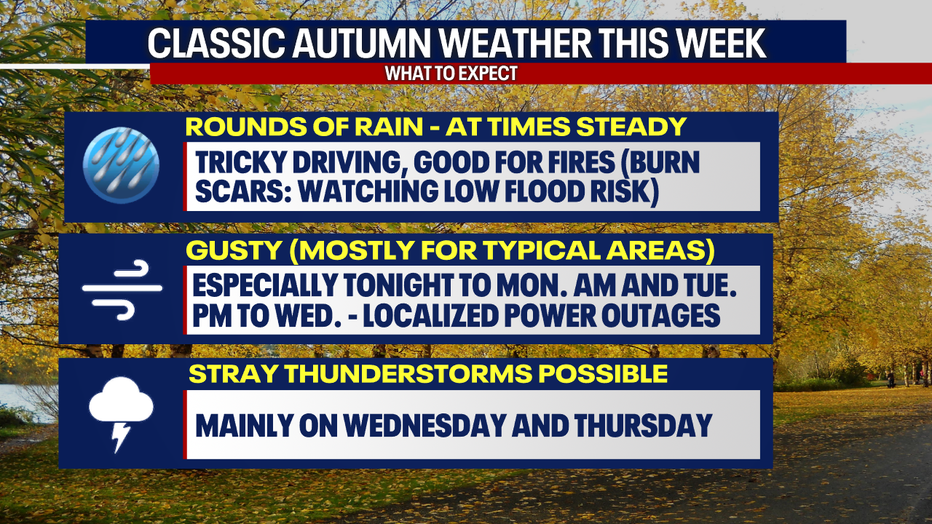 Occasionally damp and gusty weather is a potential this week in Seattle.