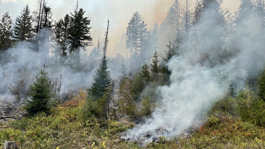 The Tacoma Creek Fire, burning 15 miles northwest of Cusick, is burning 3,796 acres and remains 0% contained as of Sept. 11.