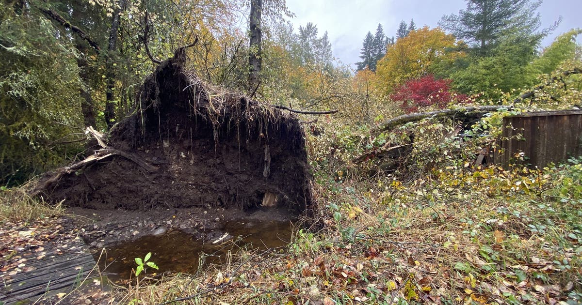 Power still out to thousands in western Washington due to windstorm ...