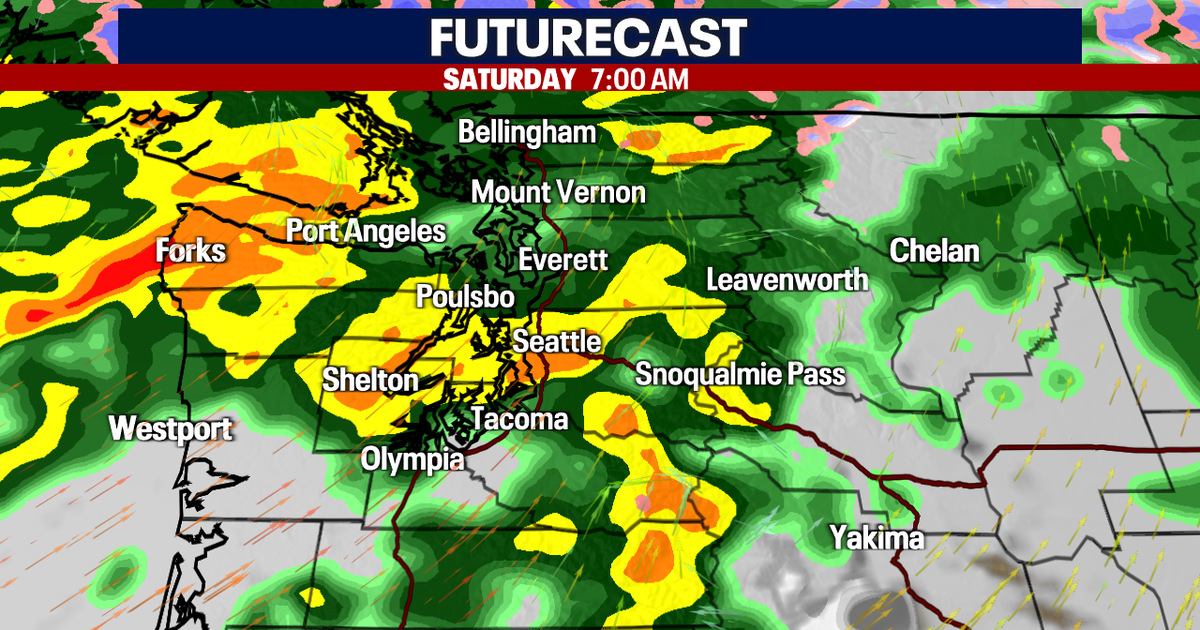Gusty winds and heavy morning rain Saturday | FOX 13 Seattle