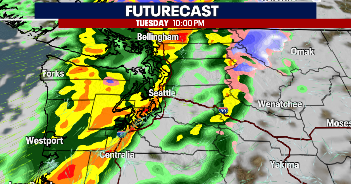 A brief break from the Seattle rain | FOX 13 Seattle
