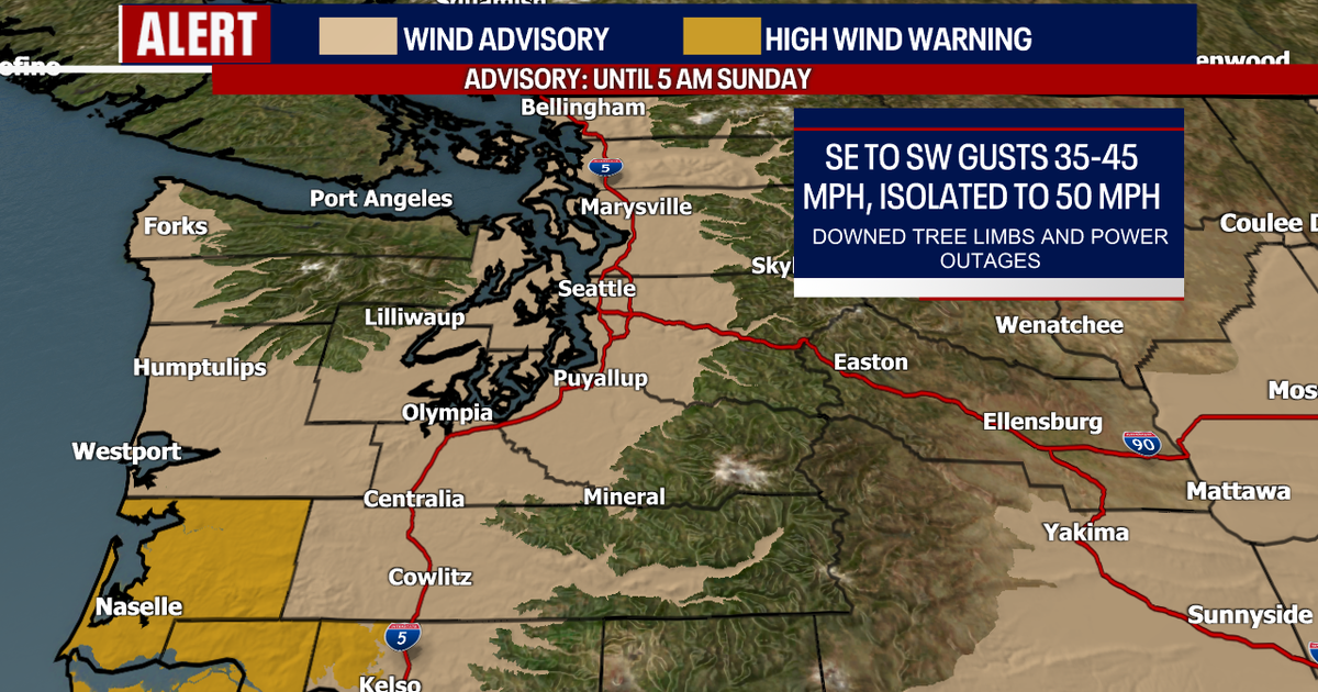 Soggy and gusty weather in Seattle on Saturday | FOX 13 Seattle