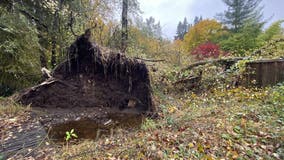 Power still out to thousands in western Washington due to windstorm