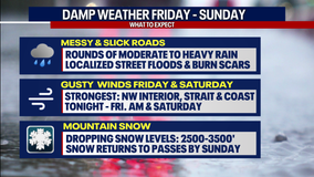Seattle weather: Gusty winds and heavy rain at times Friday