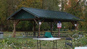 Fallen tree causes deadly 'mass incident' at Halloween event near Roy, WA