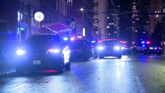 Seattle police arrest 2, seek third in armed robbery downtown