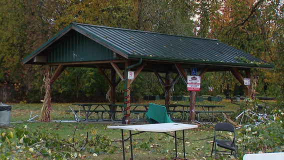 Fallen tree causes deadly 'mass incident' at Halloween event near Roy, WA
