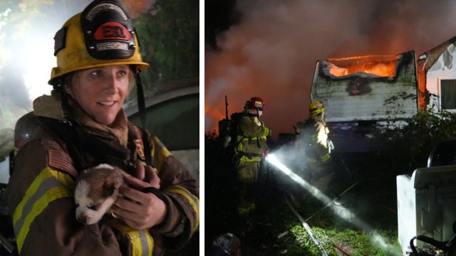 Firefighters rescue husky puppies after house fire in Monroe, WA