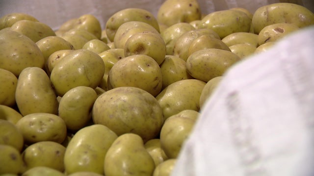 Seattle nonprofit prepares for food emergency amid government shutdown