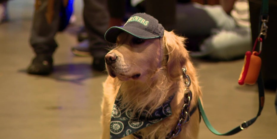 'Party animals' cheer Seattle Mariners to victory over Blue Jays in ALCS Game 2