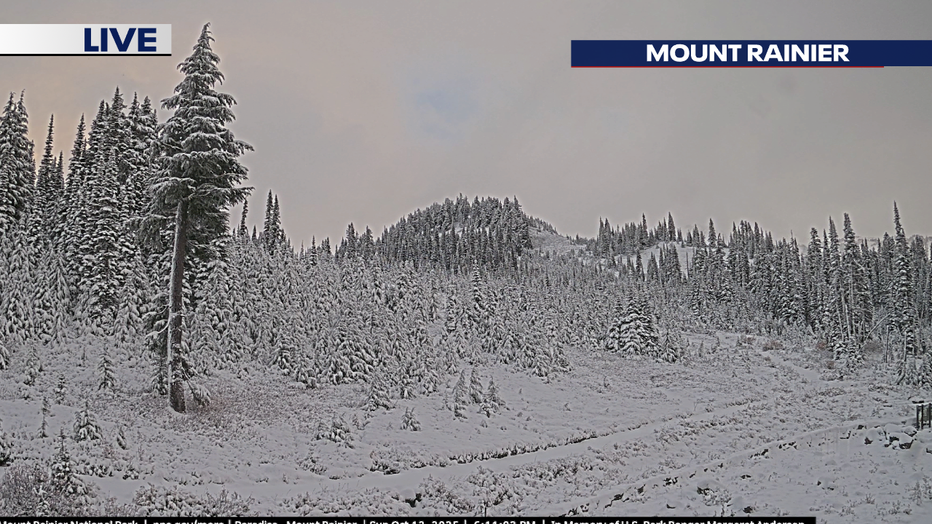 A snowy view up at Paradise today.