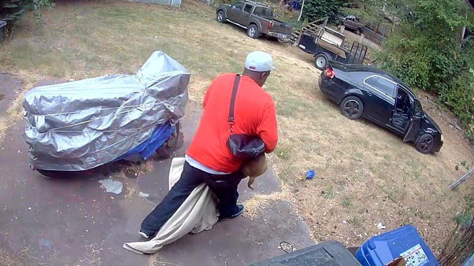 Buddy in Haughton's home