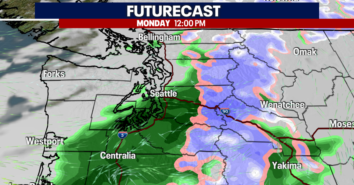 Damp Work Week Ahead | FOX 13 Seattle