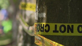 Report: King County sees record-low gun violence in 2025