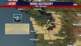 Seattle weather: Dark, dreary, damp and occasionally windy