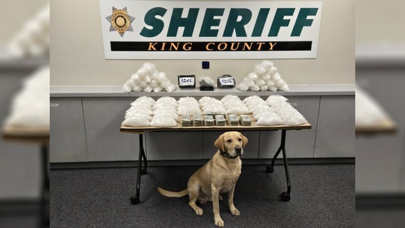 Deputies seize $1.3M in cartel-linked drugs in King County, WA