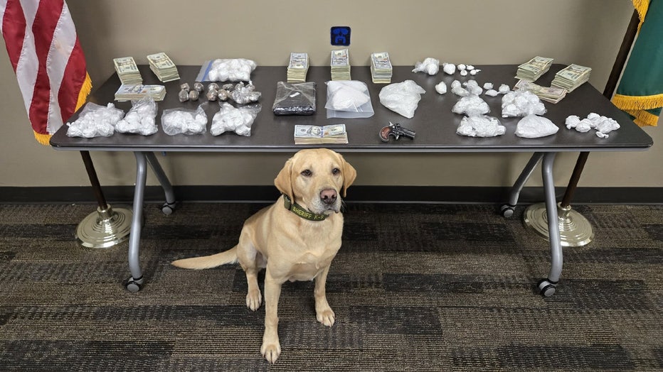 Deputies seized about $1.3 million worth of street drugs tied to the Sinaloa Cartel in King County after a months-long investigation. The King County Sheriff's Office (KCSO) posted photos of the bust on social media with K9 Quinn sitting proudly in front of the haul. The KCSO said its Precinct 4 Special Emphasis Team (SET) made the bust after detectives identified a supplier who received more than 100 pounds of narcotics every few weeks and distributed them throughout King, Pierce and Snohomish counties. Detectives served search warrants in Bridgeport, Lynnwood and Kirkland. Deputies seized 70.55 pounds of meth, 16 pounds of fentanyl powder, 6.83 pounds of heroin, 1.67 pounds of cocaine, a handgun, a car used to distribute drugs and $83,652 in cash. Four people were arrested. The KCSO thanked the Douglas County Sheriff's Office for its assistance in the operation.