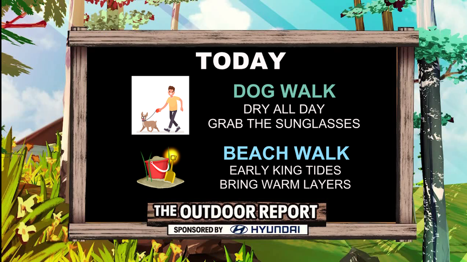 If you're hoping to walk the dog on Sunday, dry weather is on tap for Seattle.