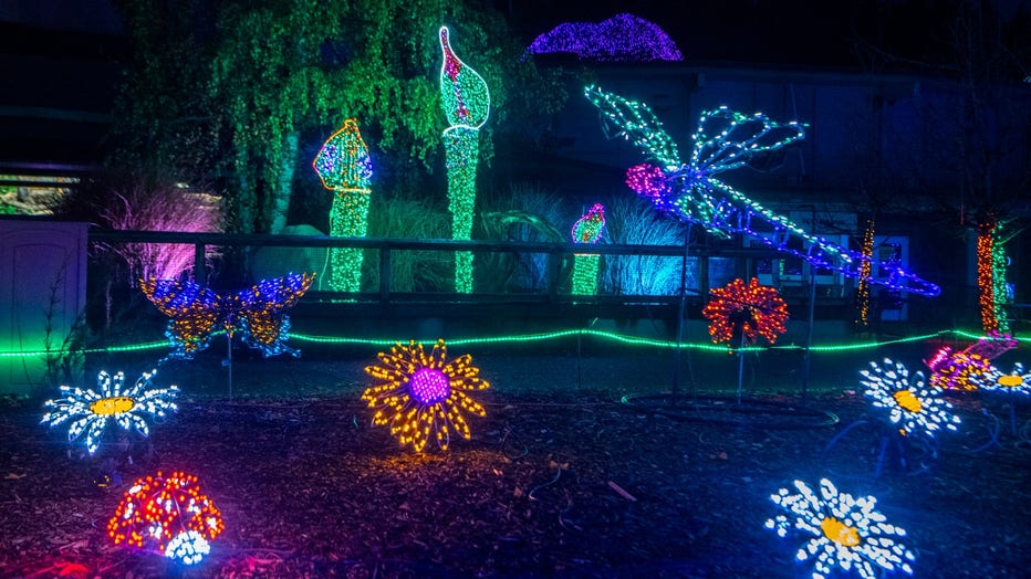 Zoolights at Point Defiance Zoo