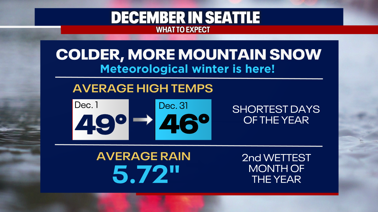 Seattle weather: Cold start to December, light rain at times