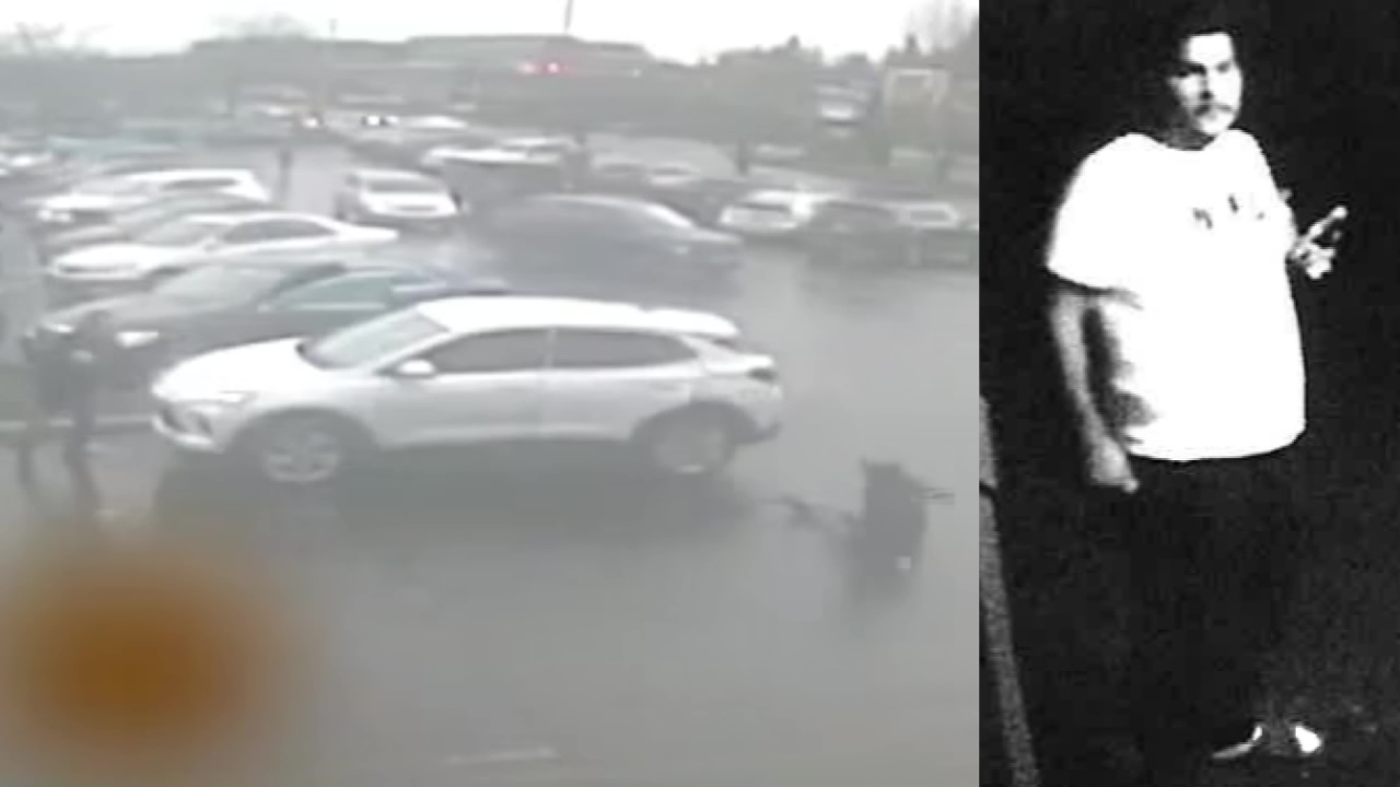 VIDEO: Elderly couple robbed, attacked in Lynnwood, WA parking lot