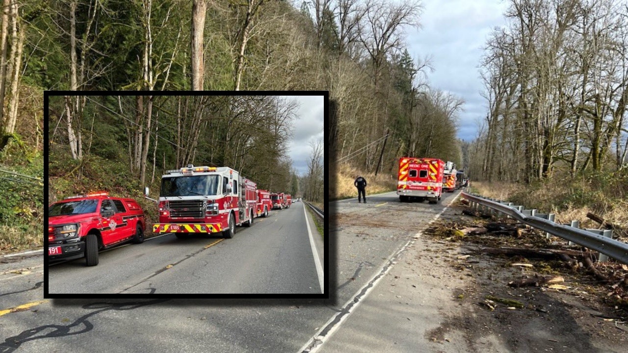 Fallen tree kills 1, badly injures another in Carnation, WA