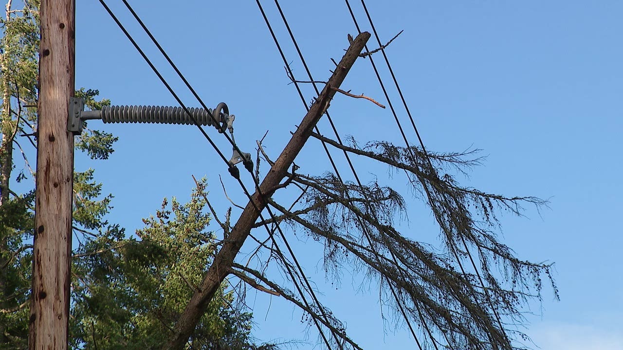 Windstorm cuts power for more than 20,000 homes on WA's Whidbey Island
