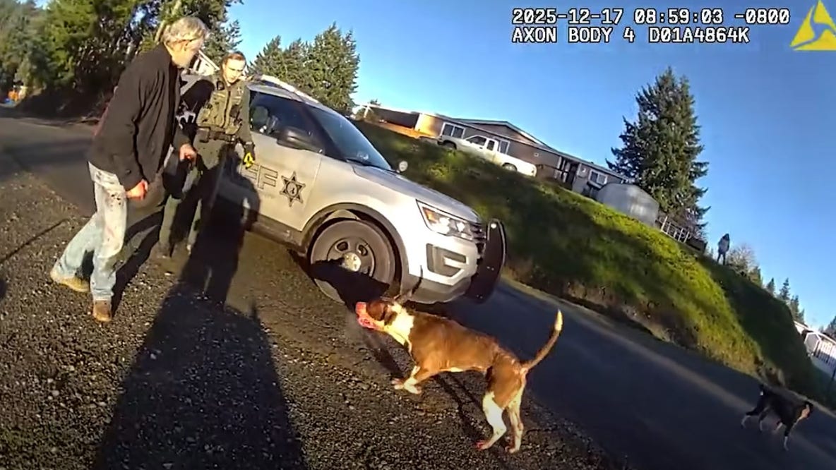 Dog killed, 8 injured in Bremerton pitbull attack