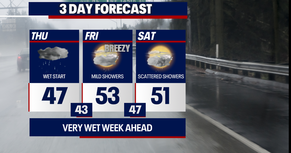 Dark and soggy in Seattle this weekend | FOX 13 Seattle