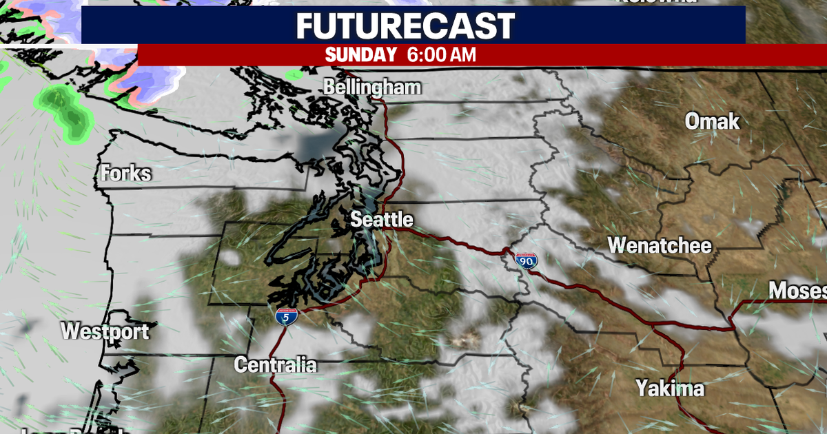 Freezing Nights this Weekend | FOX 13 Seattle