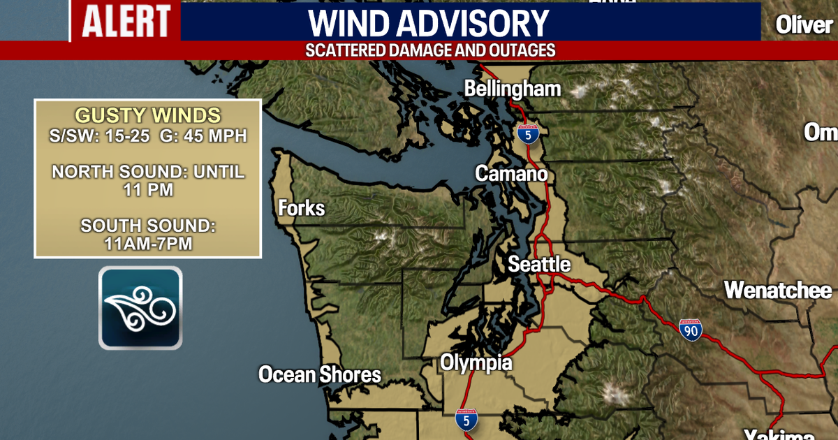 Strong winds, scattered rain in western WA | FOX 13 Seattle