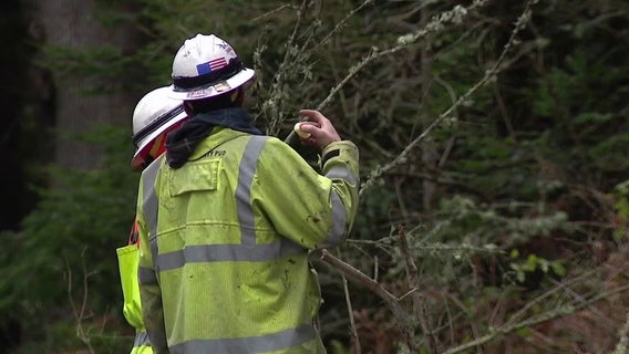Officials offer resources during widespread power outage on WA's Camano Island