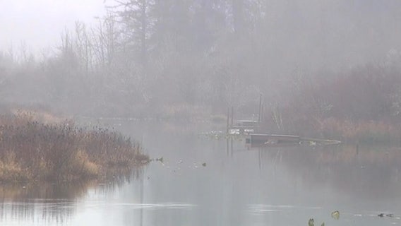 Thurston County, WA prepares for possible flooding this week