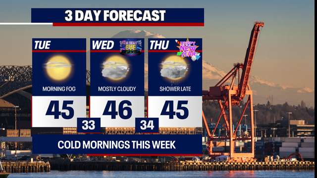 Dry, cold weather in Seattle for New Year's Eve